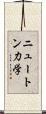 ニュートン力学 Scroll