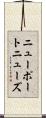 ニューポートニューズ Scroll