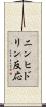 ニンヒドリン反応 Scroll