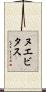 ヌエビタス Scroll