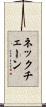 ネックチェーン Scroll