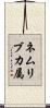 ネムリブカ属 Scroll