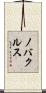 ノバクルス Scroll