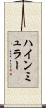 ハインミュラー Scroll