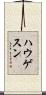 ハウゲスン Scroll