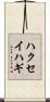 ハクセイハギ Scroll
