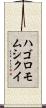 ハゴロモムシクイ Scroll