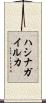 ハシナガイルカ Scroll