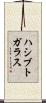 ハシブトガラス Scroll