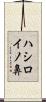 ハシロイノ鼻 Scroll