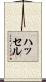 ハッセル Scroll