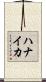 ハナイカ Scroll