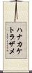 ハナカケトラザメ Scroll