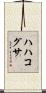 ハハコグサ Scroll