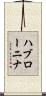 ハブローニナ Scroll