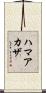 ハマアカザ Scroll