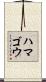 ハマゴウ Scroll
