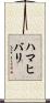 ハマヒバリ Scroll