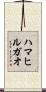 ハマヒルガオ Scroll