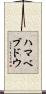 ハマベブドウ Scroll