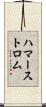 ハマーストロム Scroll