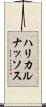 ハリカルナッソス Scroll