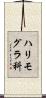 ハリモグラ科 Scroll