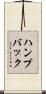 ハンプバック Scroll