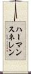 ハーマンスネレン Scroll
