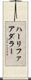 ハーリファアダラー Scroll