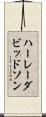 ハーレーダビッドソン Scroll
