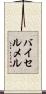 バイセルメル Scroll