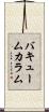 バキューム・カラム Scroll