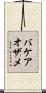 バケアオザメ Scroll