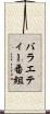 バラエティー番組 Scroll