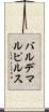 バルデマルピルス Scroll