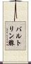 バルトリン腺 Scroll