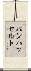 バンハッセルト Scroll