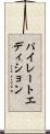 パイレートエディション Scroll