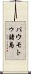 パウモトゥ諸島 Scroll