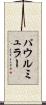 パウルミュラー Scroll