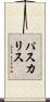 パスカリス Scroll