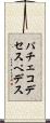 パチェコデセスペデス Scroll
