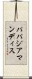パパジアマンディス Scroll