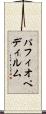 パフィオペディルム Scroll