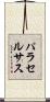 パラセルサス Scroll