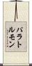 パラトルモン Scroll