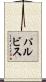 パルビス Scroll