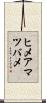 ヒメアマツバメ Scroll