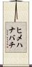 ヒメハナバチ Scroll